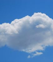 Cloud Bild